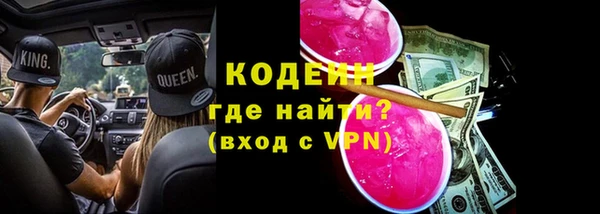 сатива Покачи
