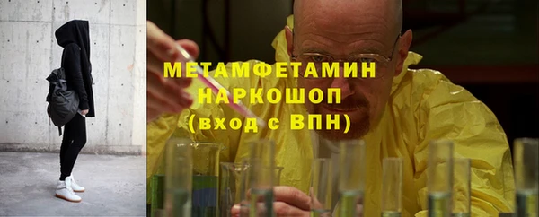 сатива Покачи