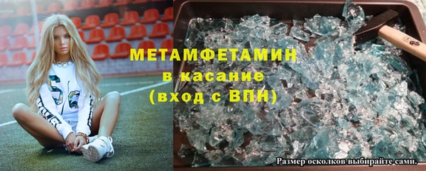 сатива Покачи