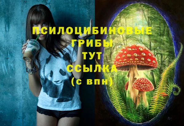 сатива Покачи