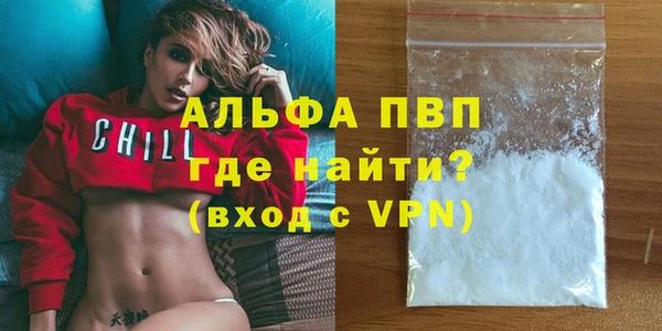 сатива Покачи