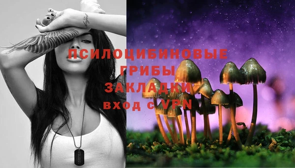 мдпв Верхний Тагил