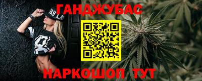 сатива Можга