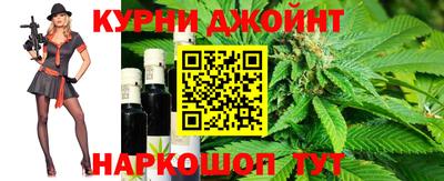 сатива Можга