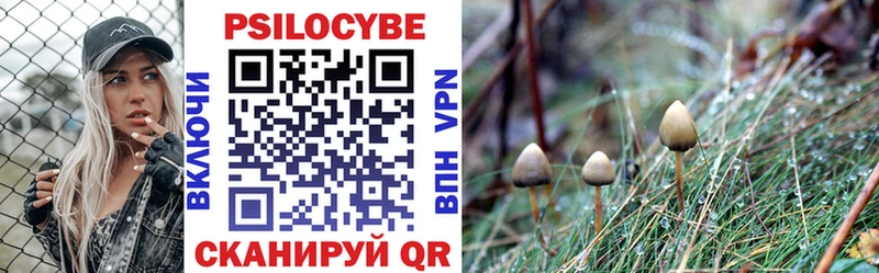 Псилоцибиновые грибы GOLDEN TEACHER Бугуруслан