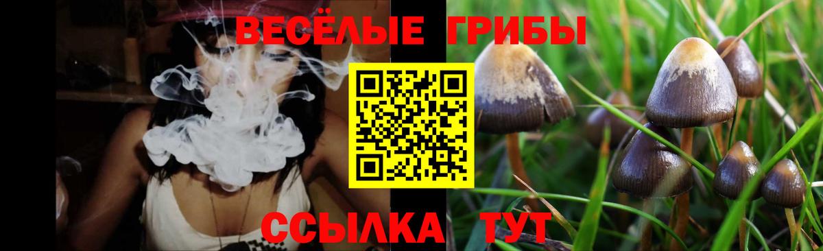 Галлюциногенные грибы Psilocybe  Псилоцибиновые грибы Cubensis  Вход с VPN  Бугуруслан 